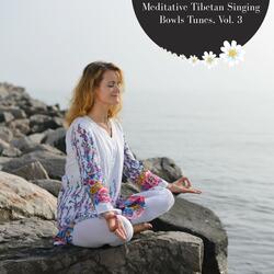 Practicing Solitude Meditation