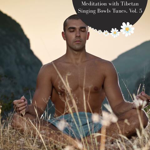 Meditation With Tibetan Singing Bowls Tunes, Vol. 5