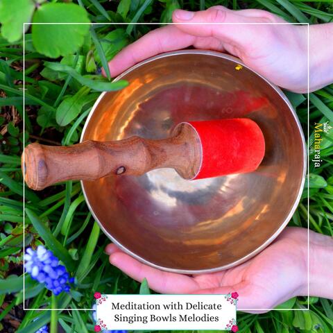 Meditation With Delicate Singing Bowls Melodies
