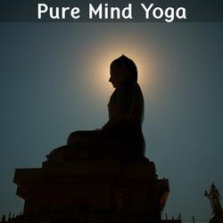 Vibrant Meditation Increases Daily Motivation
