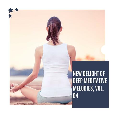 New Delight Of Deep Meditative Melodies, Vol. 04