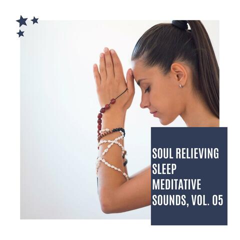 Soul Relieving Sleep Meditative Sounds, Vol. 05
