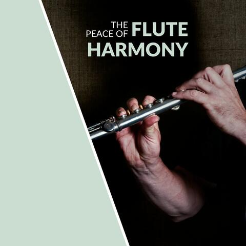 The Peace Of Flute Harmony