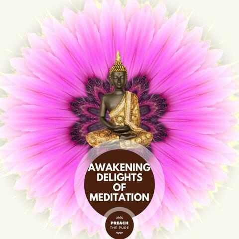 Awakening Delights Of Meditation