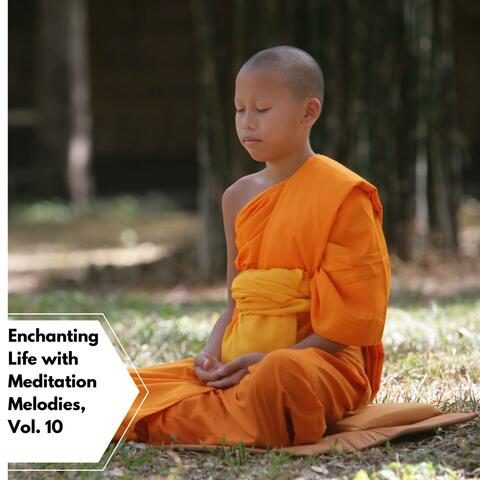 Enchanting Life With Meditation Melodies, Vol. 10