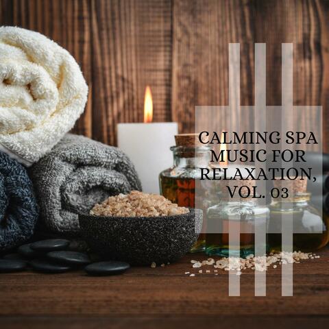 Calming Spa Music For Relaxation, Vol. 03