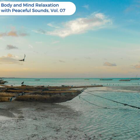 Body And Mind Relaxation With Peaceful Sounds, Vol. 07
