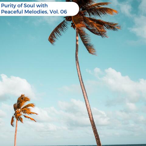 Purity Of Soul With Peaceful Melodies, Vol. 06