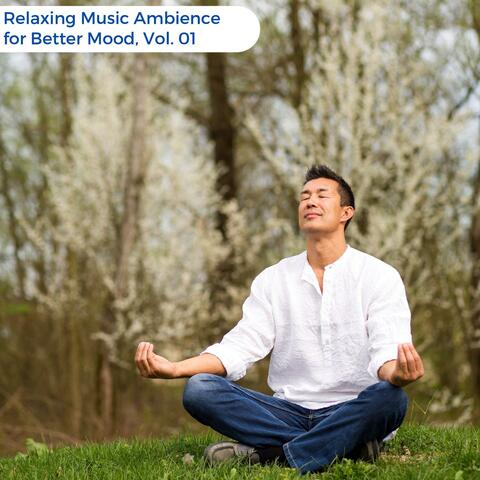 Relaxing Music Ambience For Better Mood, Vol. 01