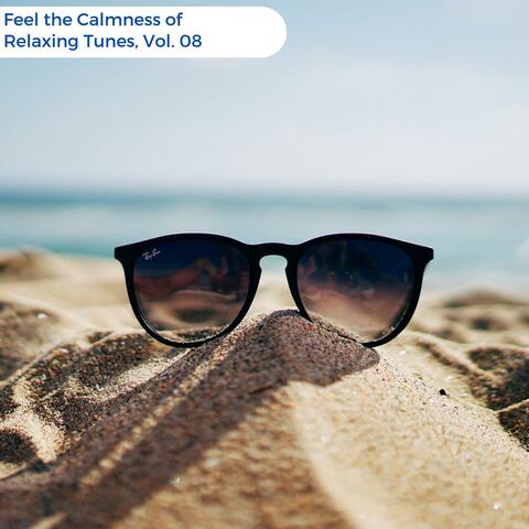 Feel The Calmness Of Relaxing Tunes, Vol. 08