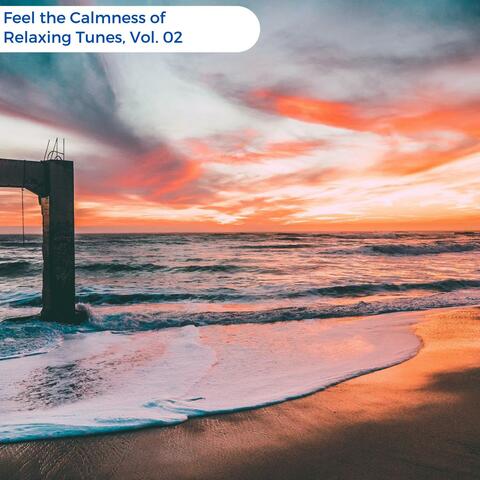 Feel The Calmness Of Relaxing Tunes, Vol. 02