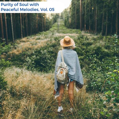 Purity Of Soul With Peaceful Melodies, Vol. 05