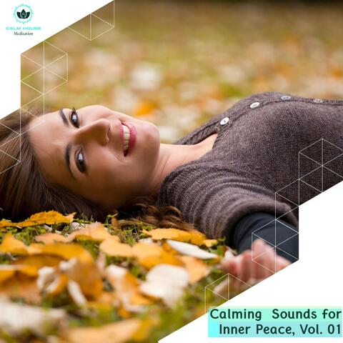 Calming Sounds For Inner Peace, Vol. 01