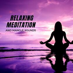 Instant Solutions Meditation