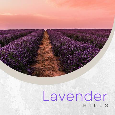 Lavender Hills