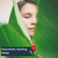 Enhancing Romance Meditation