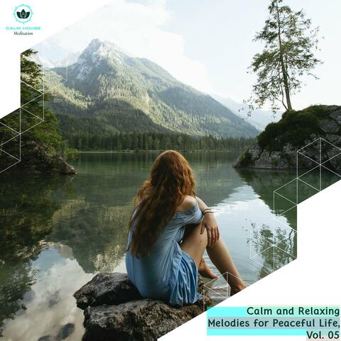 Calm And Relaxing Melodies For Peaceful Life, Vol. 05