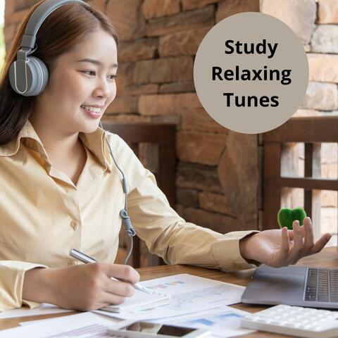 Study Relaxing Tunes