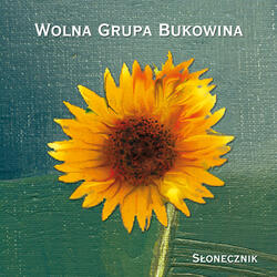Pomyślałem, że Gdy Gitarę Ujmę