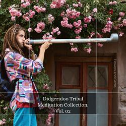 Drummer World Austie Didg (Orchestral Percussion)