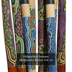 The Tribal Aggressive Didgeridoo Of Australia