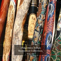Future Tribes (Didgeridoo Electronica Music)