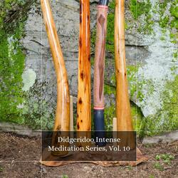Electronic Tribed Didgeridoo (Percussive Effects)