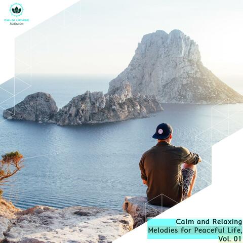 Calm And Relaxing Melodies For Peaceful Life, Vol. 01