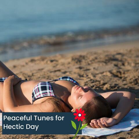 Peaceful Tunes For Hectic Day