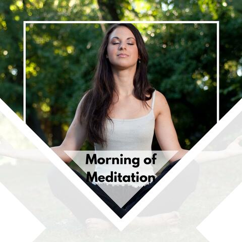 Morning Of Meditation