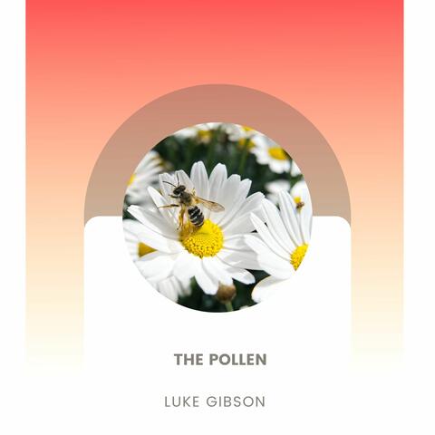 The Pollen