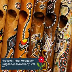 Ethnic Austie Native Nestive Didgeridoo