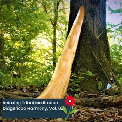 Aggresso Style Didgeridoo (No Drums Included)