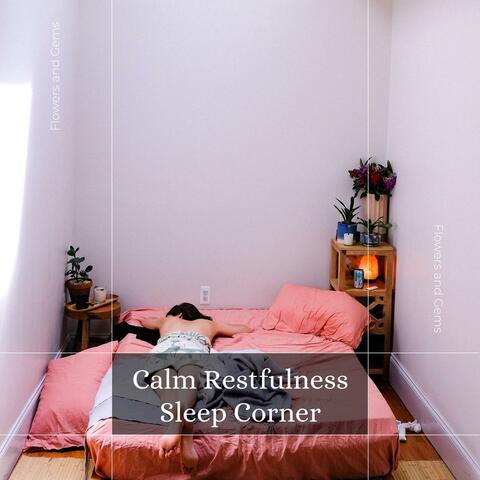 Calm Restfulness Sleep Corner