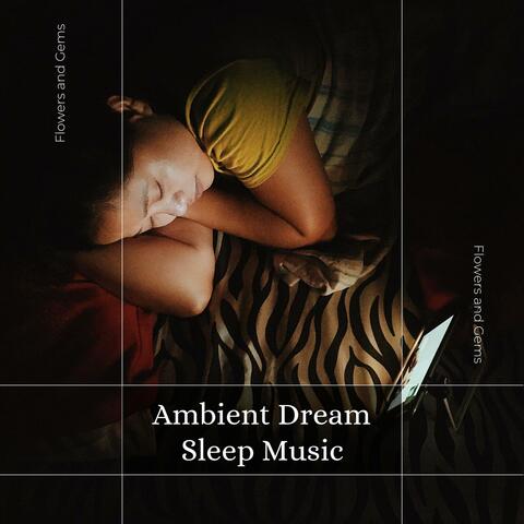 Ambient Dream Sleep Music