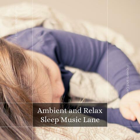 Ambient And Relax Sleep Music Lane