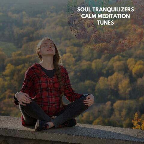 Soul Tranquilizers Calm Meditation Tunes