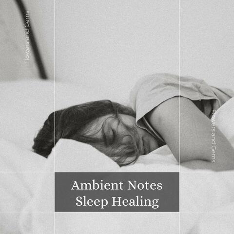 Ambient Notes Sleep Healing