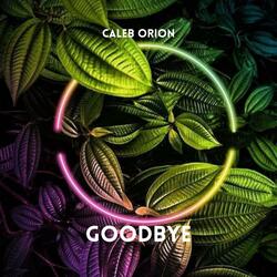 Goodbye