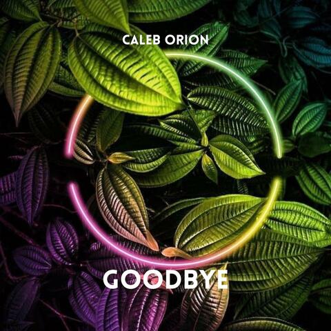 Goodbye