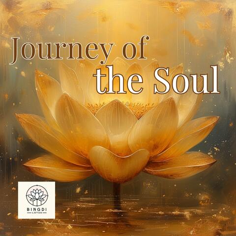 Journey of the Soul
