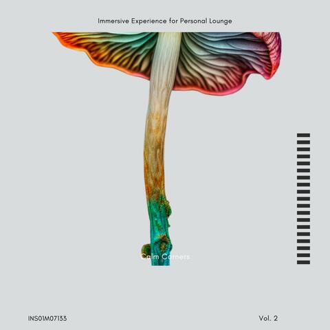 Calm Corners - Immersive Experience for Personal Lounge, Vol. 02