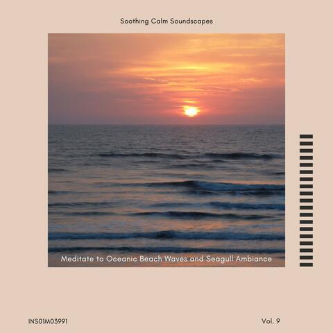 Meditate to Oceanic Beach Waves and Seagull Ambiance - Soothing Calm Soundscapes, Vol. 09