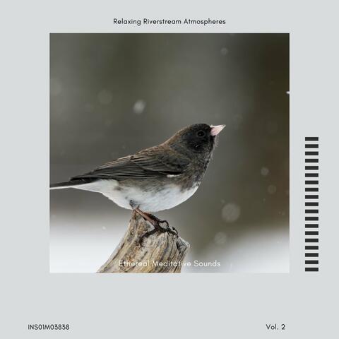 Ethereal Meditative Sounds - Relaxing Riverstream Atmospheres, Vol. 02