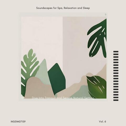 Dive Into Tranquil and Serene Natural Setting - Soundscapes for Spa, Relaxation and Sleep, Vol. 06