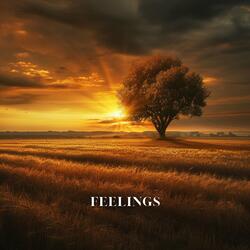 Feelings