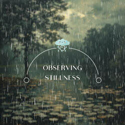 Observing Stillness with Monsoon Noise