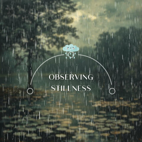Observing Stillness