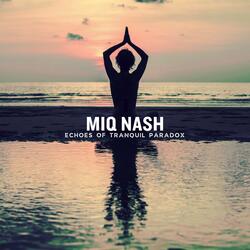 Echoes of Tranquil Paradox