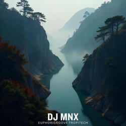 EuphoriGroove Tropitech